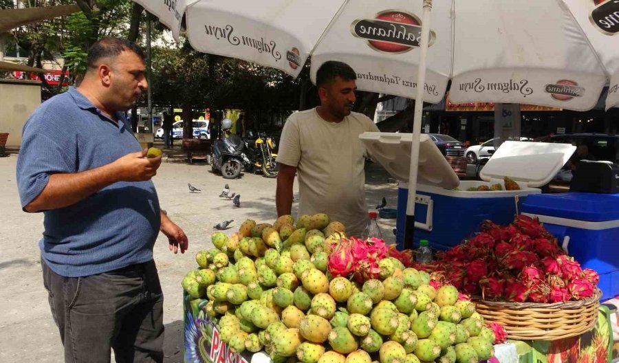 Mersin’de Doğada Kendiliğinden Yetişen Dikenli İncir Seyyar Tezgahlarda