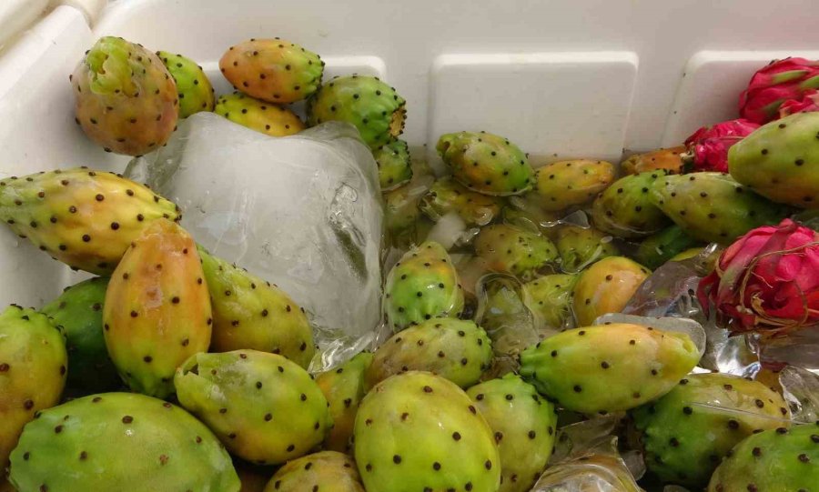 Mersin’de Doğada Kendiliğinden Yetişen Dikenli İncir Seyyar Tezgahlarda