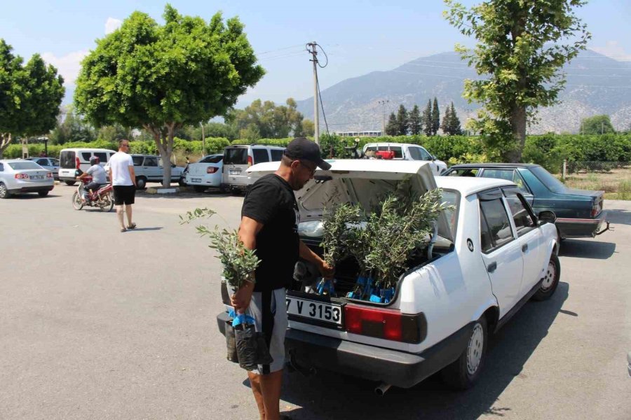 Antalya Büyükşehir Belediyesi’nden Zeytin Seferberliği