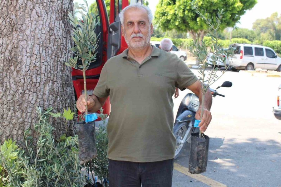 Antalya Büyükşehir Belediyesi’nden Zeytin Seferberliği