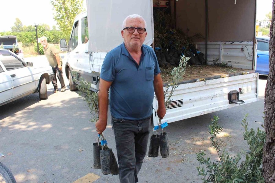 Antalya Büyükşehir Belediyesi’nden Zeytin Seferberliği