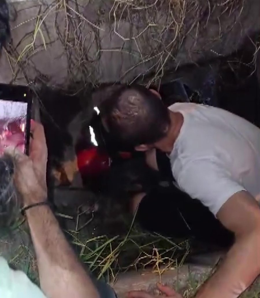 Kanalizasyona Düşüp 2 Gündür Kurtarılmayı Bekleyen Yavru Kedi İçin Seferber Oldular