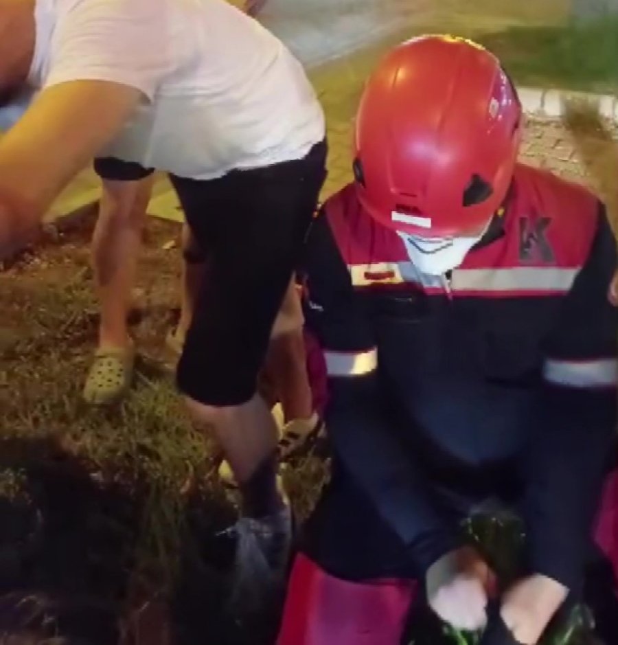 Kanalizasyona Düşüp 2 Gündür Kurtarılmayı Bekleyen Yavru Kedi İçin Seferber Oldular