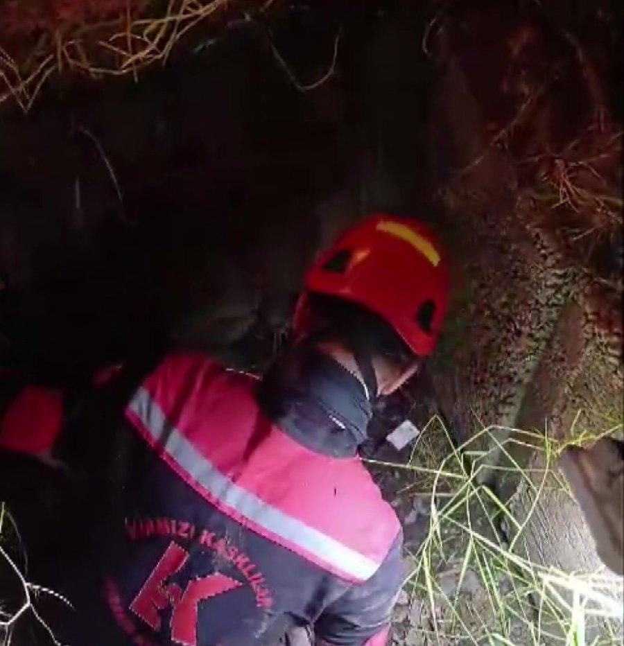 Kanalizasyona Düşüp 2 Gündür Kurtarılmayı Bekleyen Yavru Kedi İçin Seferber Oldular