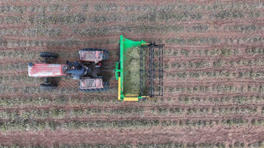 Başkan Altay: "kuraklığa Dayanıklı Bitki Destekleriyle Çiftçimize Yeni Fırsatlar Sunuyoruz"