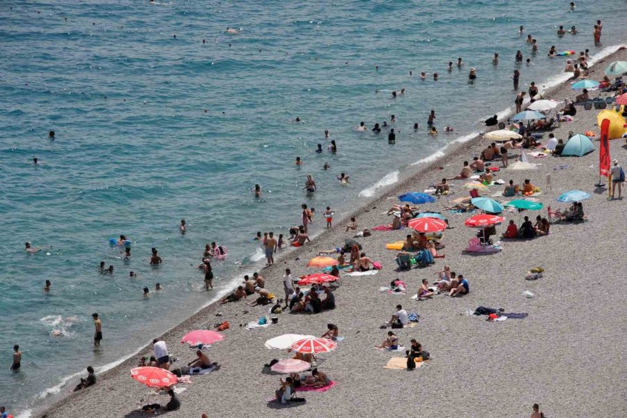 Uzman İsim Caretta Caretta Isırma Vakalarının Sebebini Açıkladı