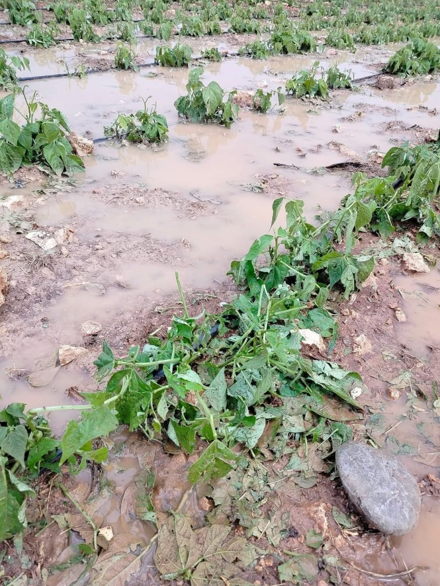 Mersin’de Şiddetli Dolu Yağışı Etkili Oldu