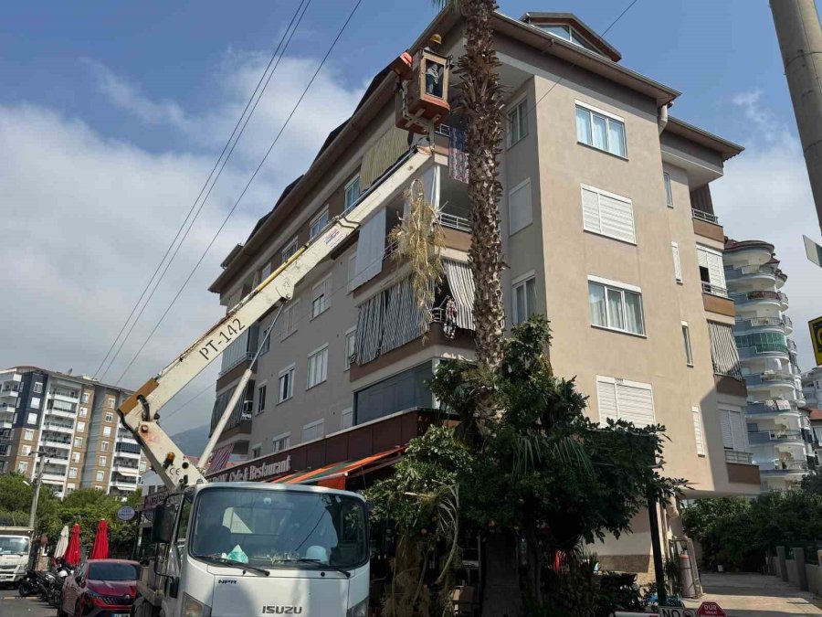 Alanya Belediyesi Ve Aedaş’dan Yangın Riskine Karşı Önlem