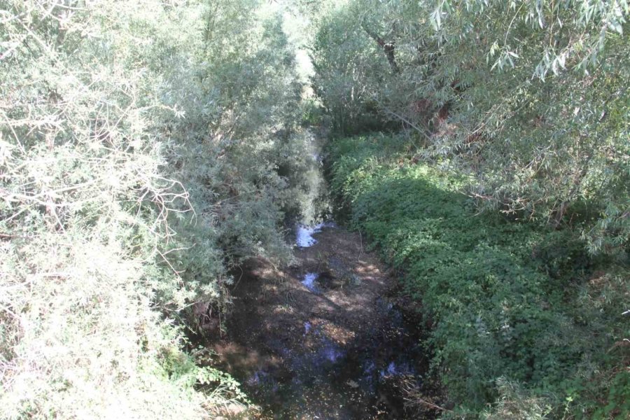 Beyşehir Gölü’nü Besleyen Ana Kaynaklar Da Kurudu