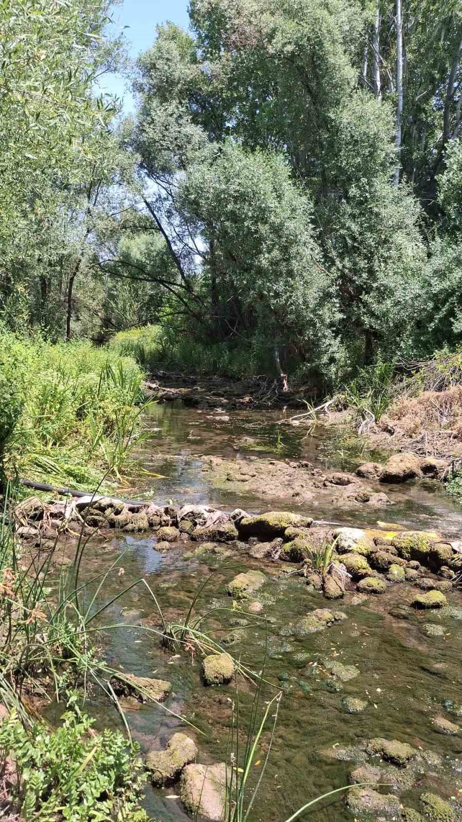 Beyşehir Gölü’nü Besleyen Ana Kaynaklar Da Kurudu