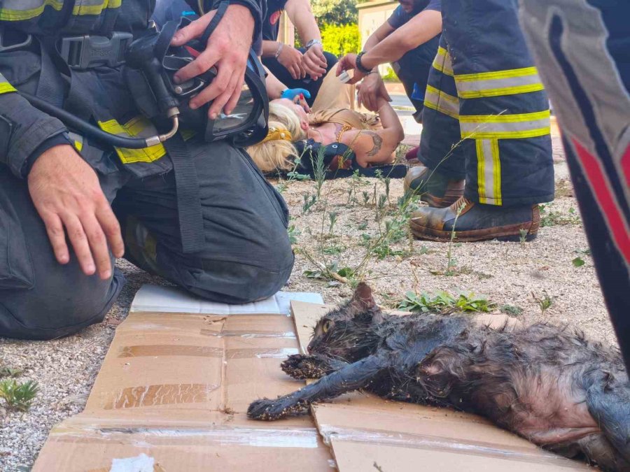 Yanan Evini Gören Kadın Baygınlık Geçirdi, Kedisi Oksijen Maskesiyle Kurtarıldı