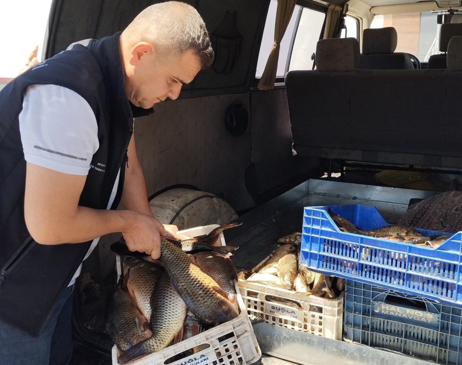 Gölde Sürdürülebilir Balıkçılık İçin Denetimler Sıklaştırıldı