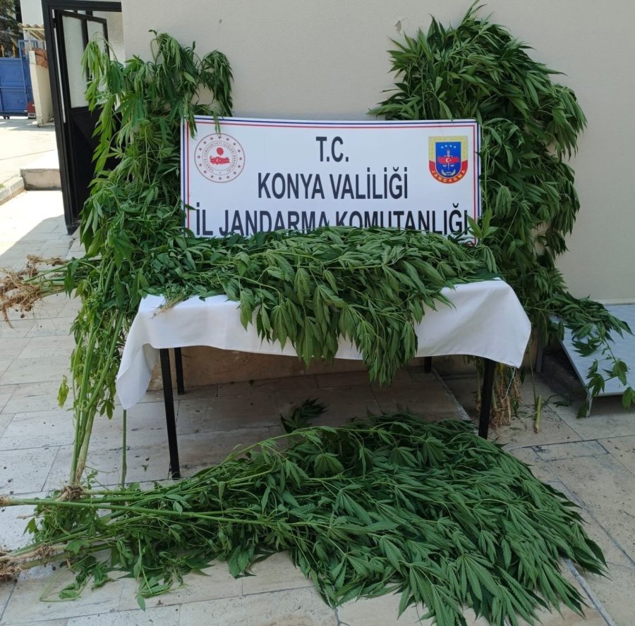 Konya’da Zehir Tacirlerine Operasyon