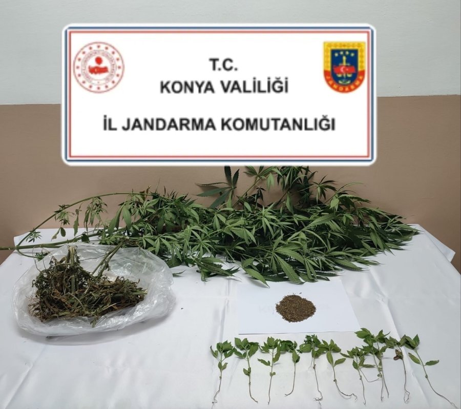 Konya’da Zehir Tacirlerine Operasyon