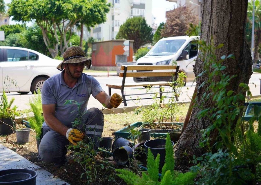 Konyaaltı’nda Muhtarlık Binaları Çiçeklendiriliyor