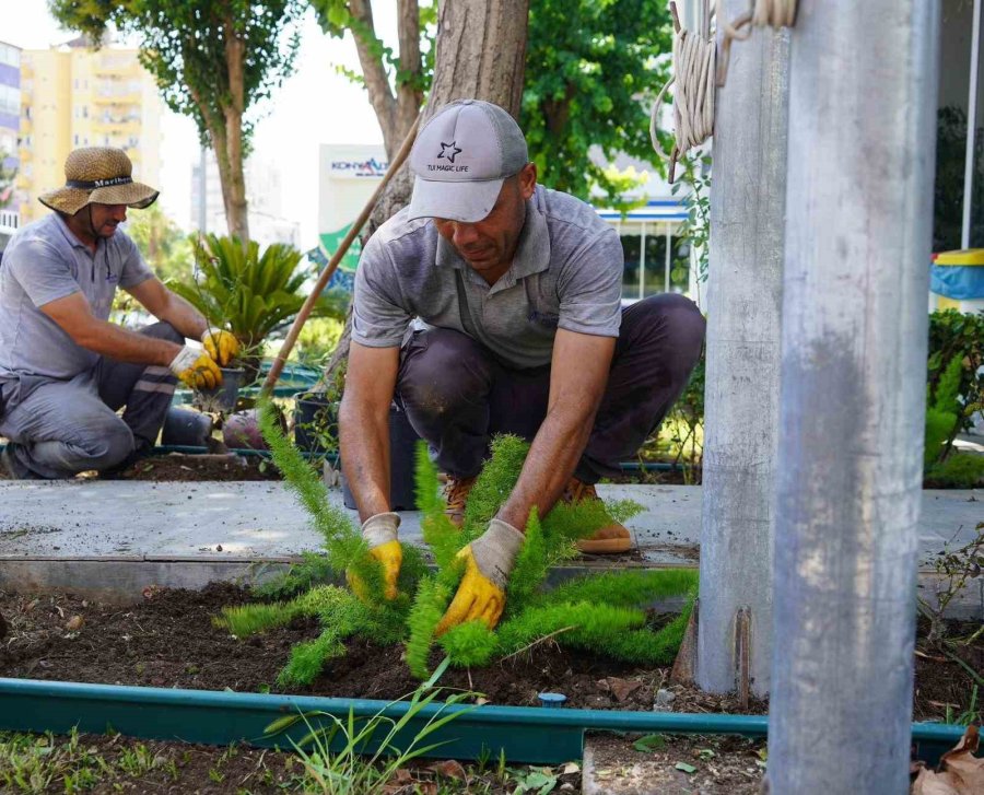 Konyaaltı’nda Muhtarlık Binaları Çiçeklendiriliyor