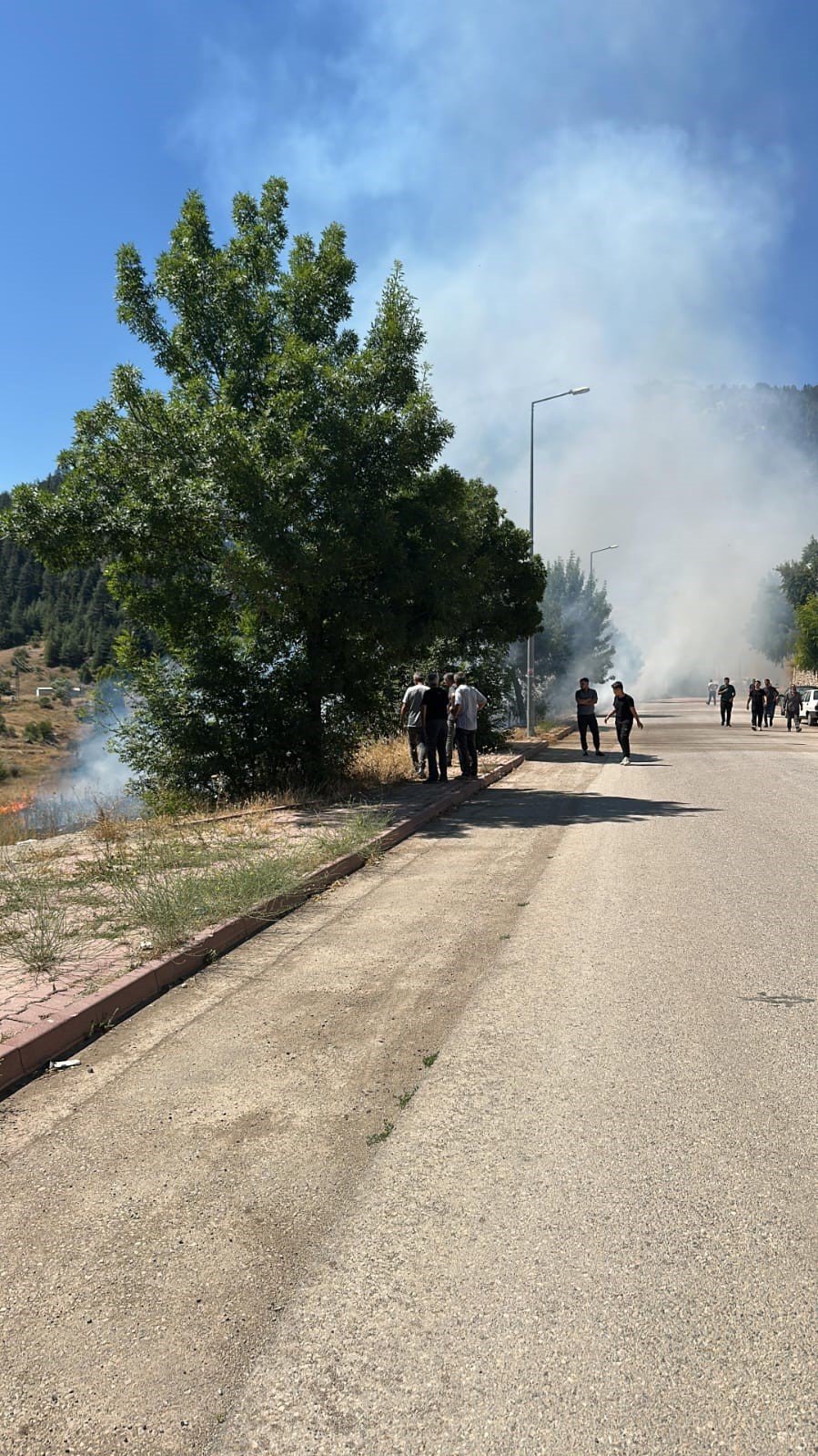 Beyşehir’de Alevler Bahçelere Ulaşmadan Söndürüldü