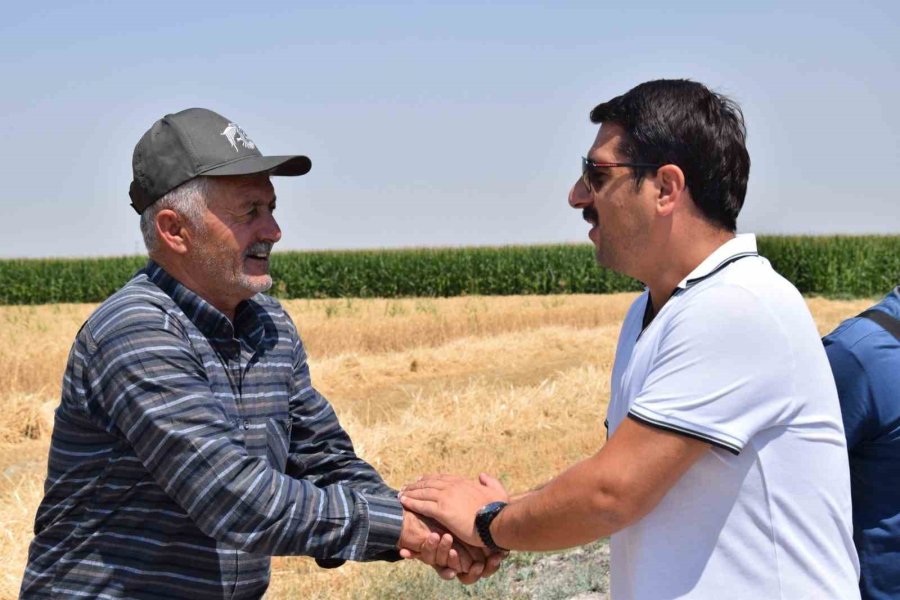 Karapınar’da Sezonun Son Buğday Hasadı Yapıldı