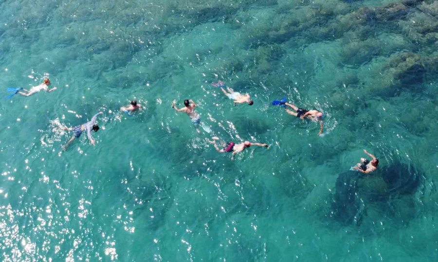 Kamp Kuruldu, Deniz Biyoçeşitliliği Dalışlarla İzlendi