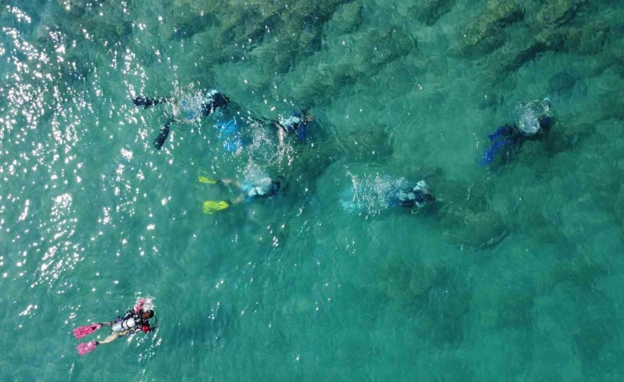 Kamp Kuruldu, Deniz Biyoçeşitliliği Dalışlarla İzlendi