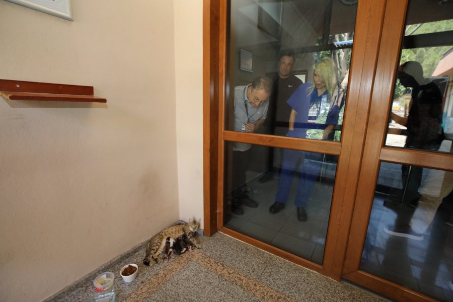 Akdeniz Üniversitesi Ambaum’dan Bağımlılıkla Mücadelede Yıllık Binlerce Tedavi