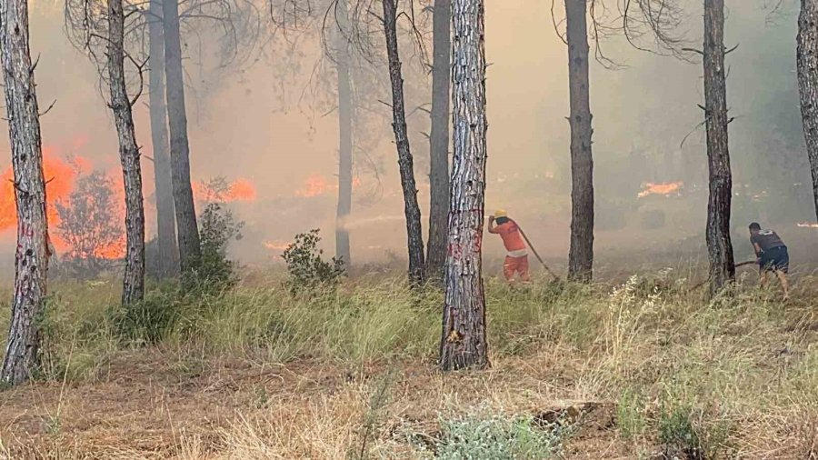 Vali Şahin: "yangınlar Şehir Merkezlerinde Ciddi Risk Oluşturdu"