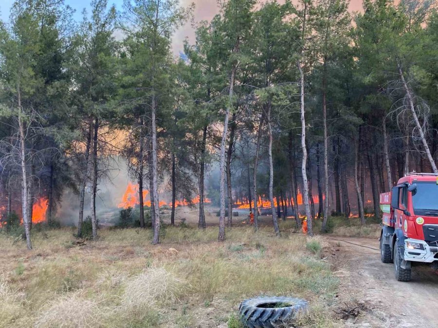 Vali Şahin: "yangınlar Şehir Merkezlerinde Ciddi Risk Oluşturdu"