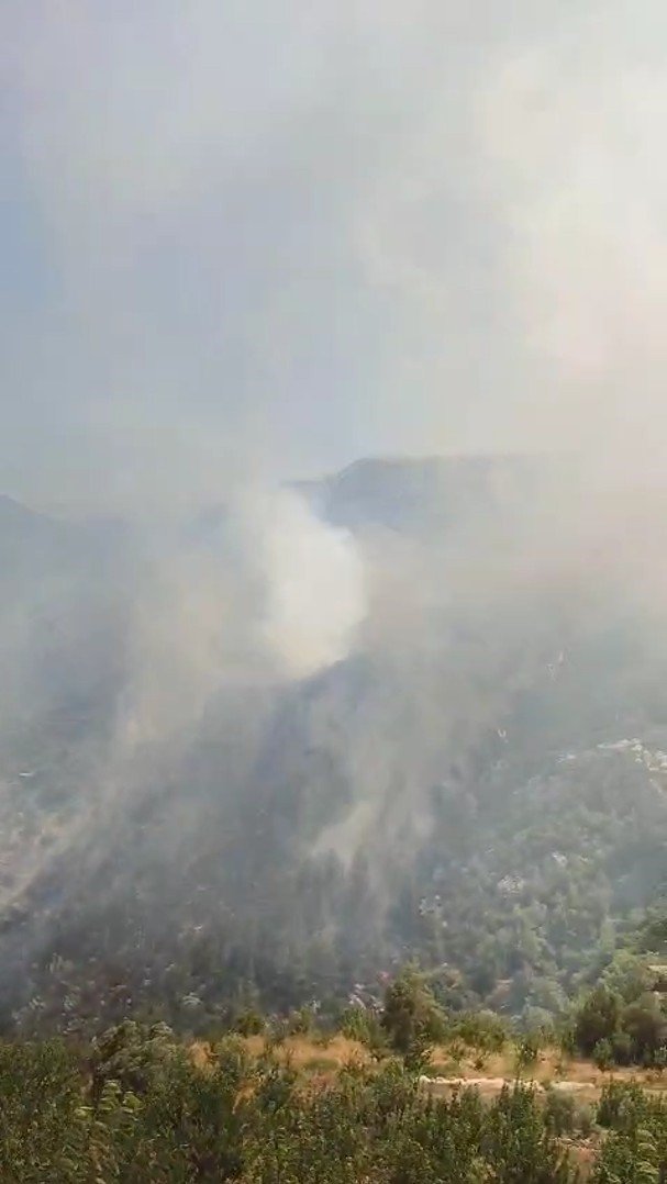 Antalya’da Orman Yangını