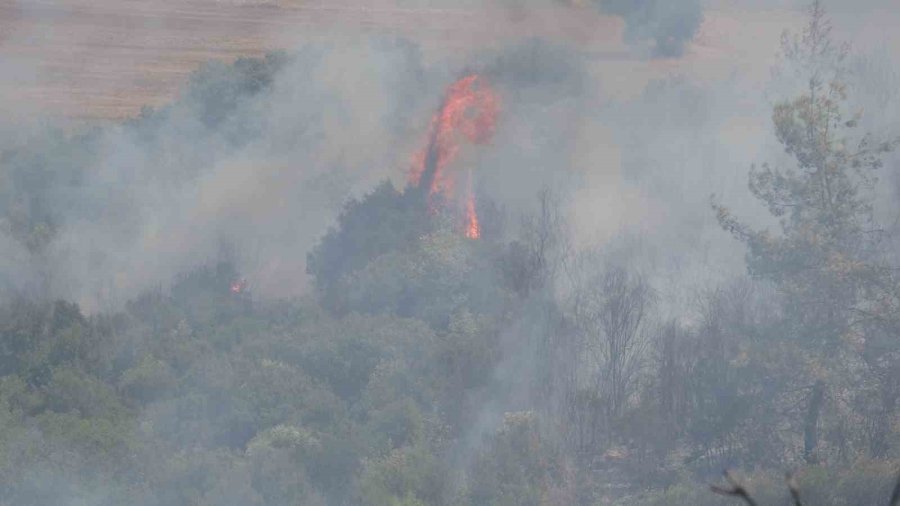 Alevler Bir Anda Evinin Yanına Geldi, Yaşlı Adam Kabusu Yaşadı