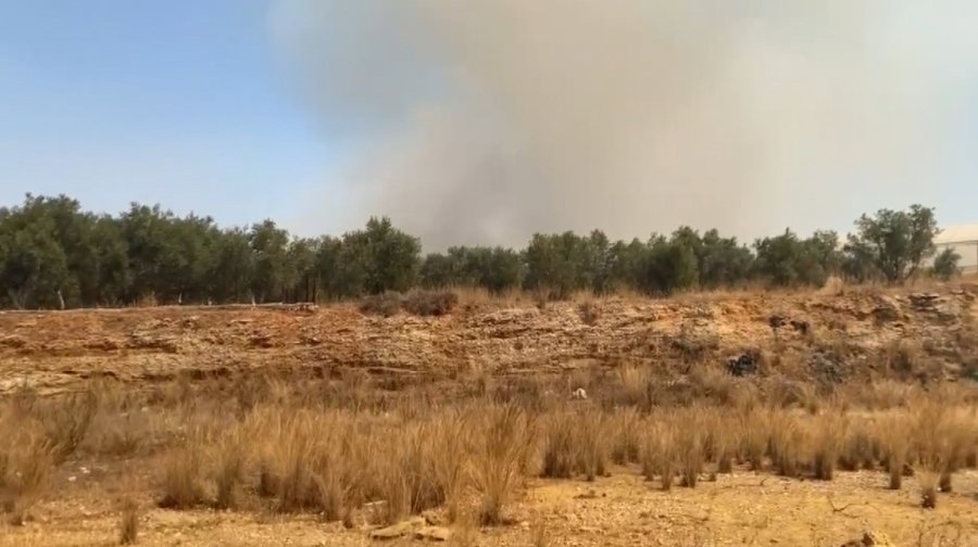Antalya’da Alevlerin Yaklaştığı Mahallede Vatandaşlar Hortumlarla Nöbette