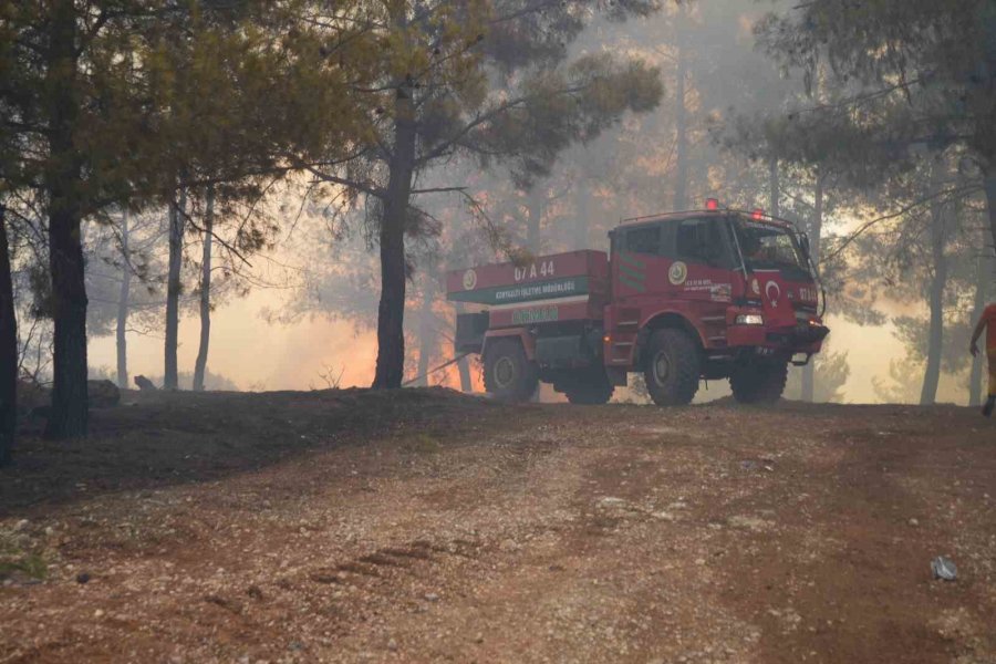 Aksu’da Yürek Yakan Yangında Evler Hasar Gördü, Hayvanlar Telef Oldu