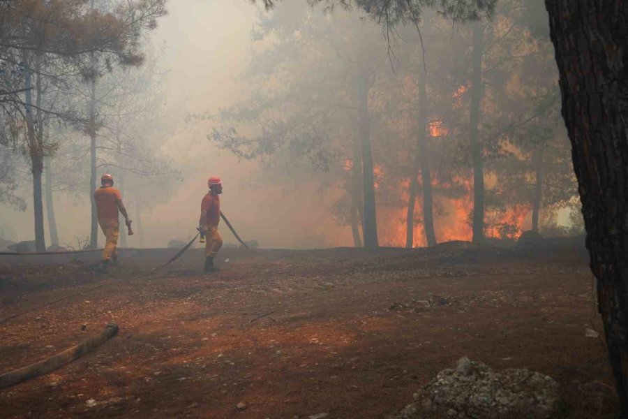 Aksu’da Yürek Yakan Yangında Evler Hasar Gördü, Hayvanlar Telef Oldu