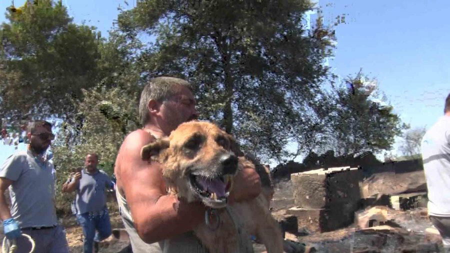 Aksu’da Yürek Yakan Yangında Evler Hasar Gördü, Hayvanlar Telef Oldu