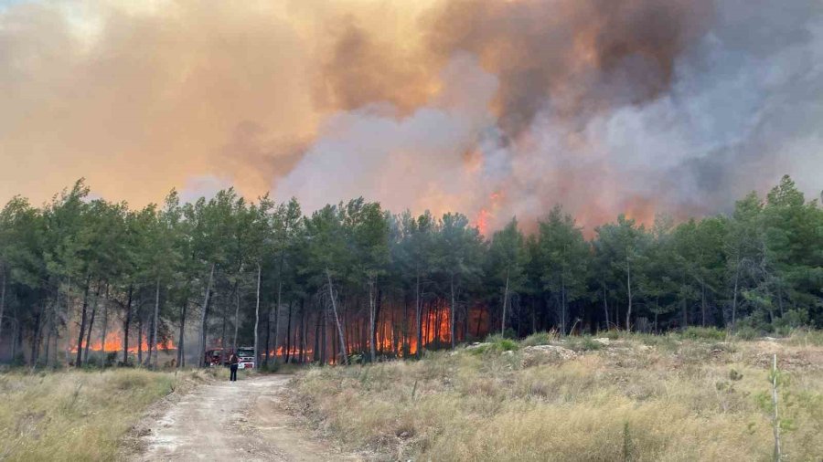 Antalya’da Orman Yangını