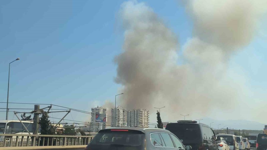 Antalya’da Orman Yangını