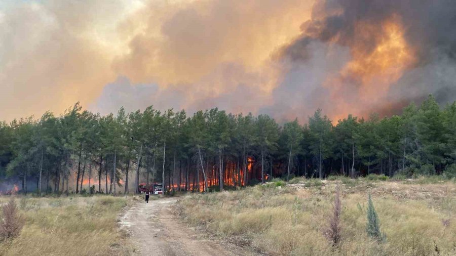 Antalya’da Orman Yangını