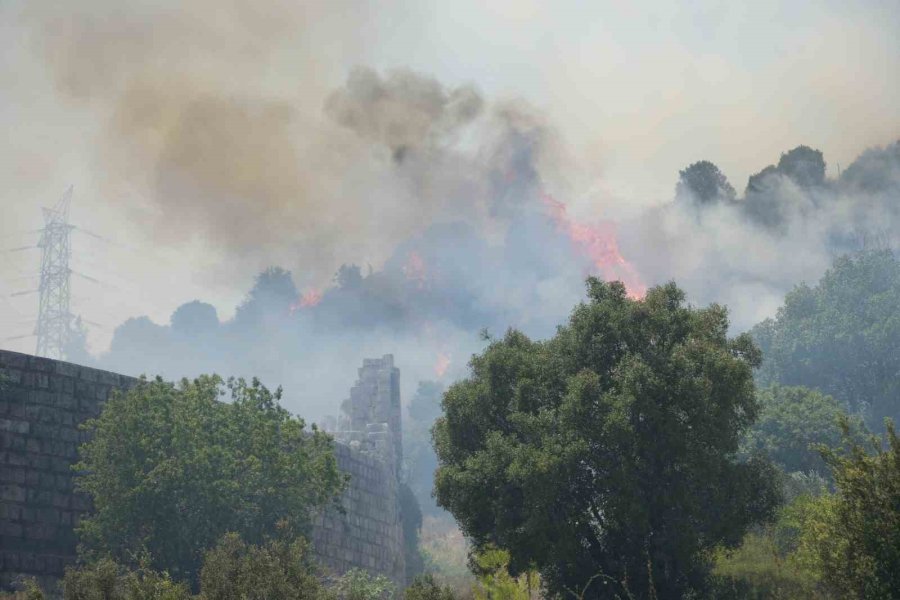 Vali Şahin: "yangınlar Şehir Merkezlerinde Ciddi Risk Oluşturdu"