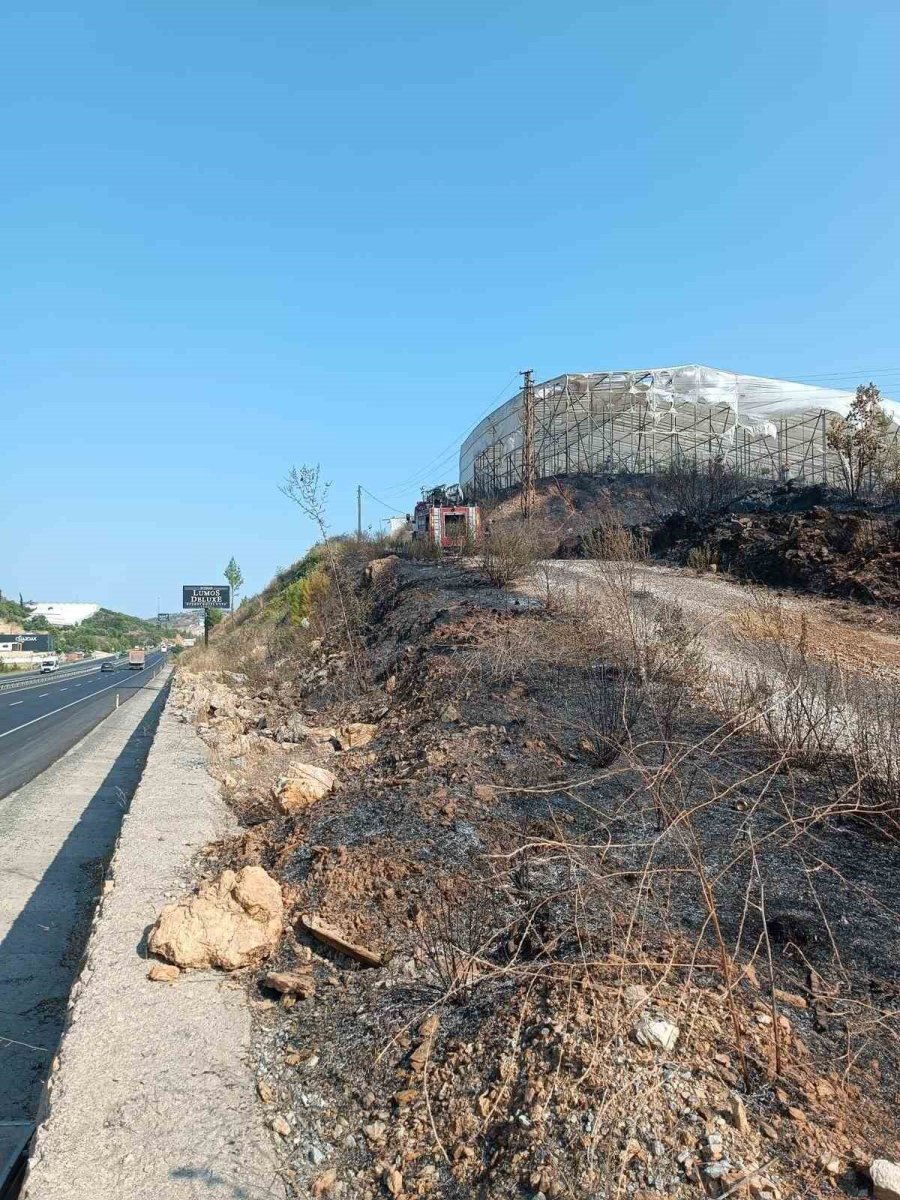 Alanya’da Makilik Alanda Çıkan Yangın Kısa Sürede Kontrol Altına Alındı