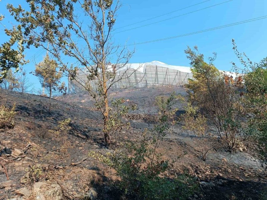 Alanya’da Makilik Alanda Çıkan Yangın Kısa Sürede Kontrol Altına Alındı