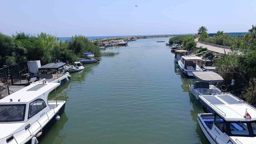 Antalya’da Saldırgan Nil Kaplumbağası Uyarısı