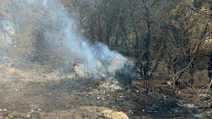 Yangın Turizm Yolunu Kapattı, Ekipler Ve Halk Alevlere Karşı Mücadele Ediyor