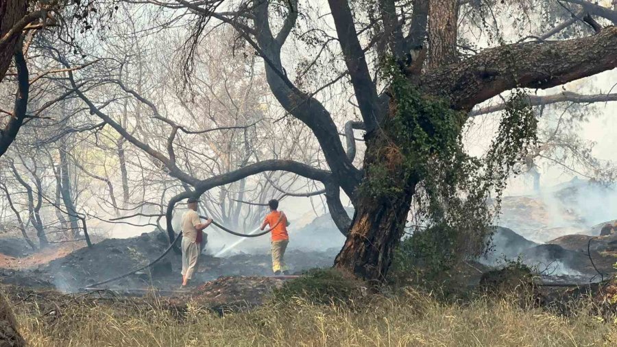Yangın Turizm Yolunu Kapattı, Ekipler Ve Halk Alevlere Karşı Mücadele Ediyor