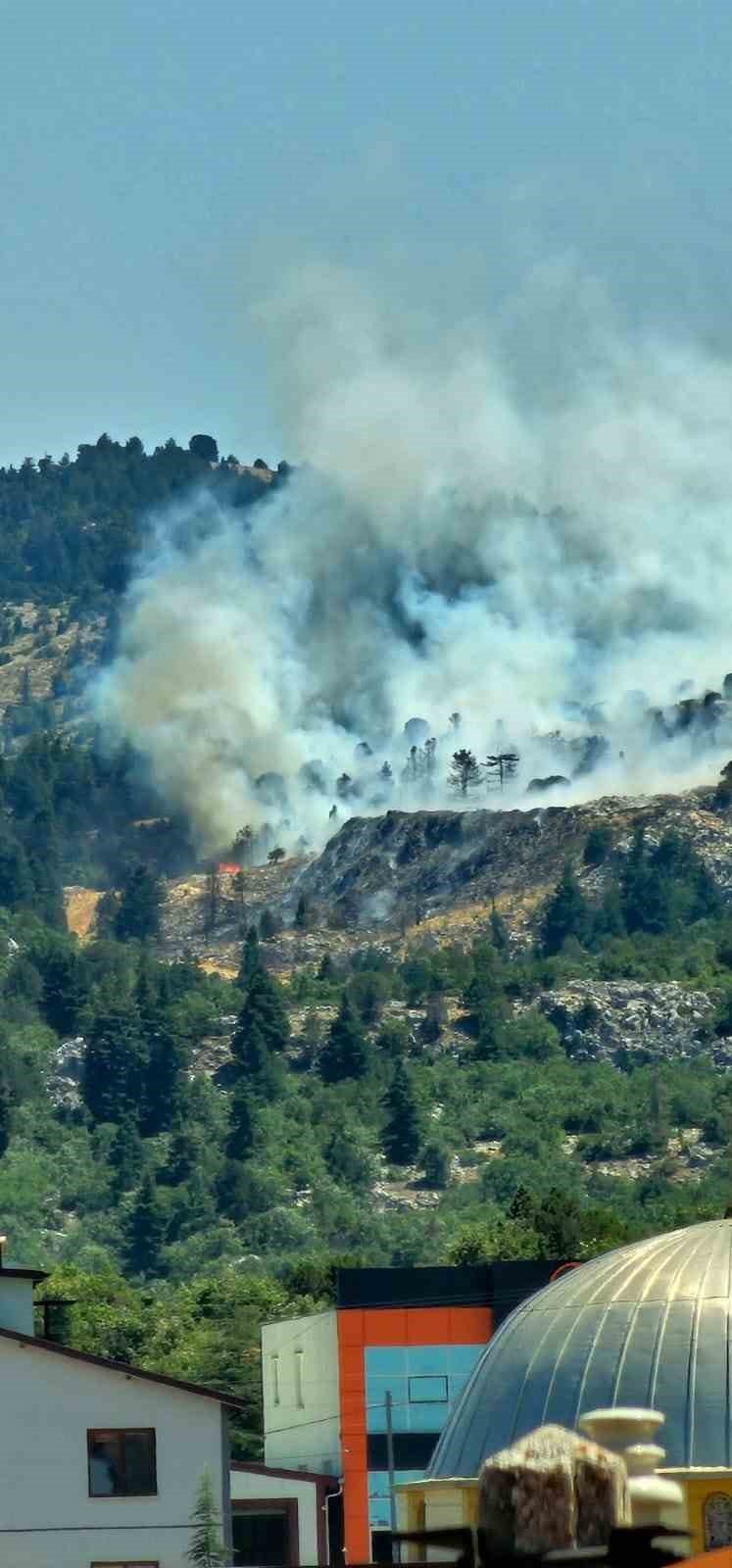 Çöplükte Başlayan Yangın Ormana Sıçradı