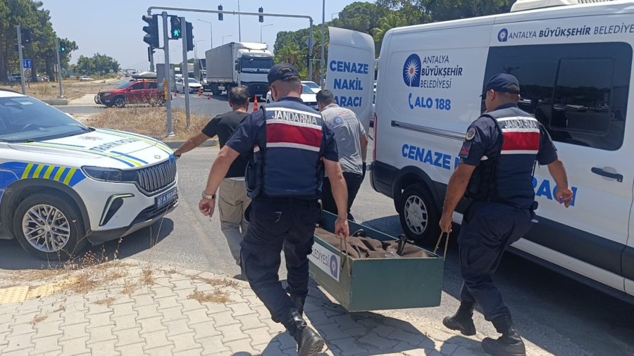 Kanserle Savaşını Kazandı, Trafikte Hayatını Kaybetti