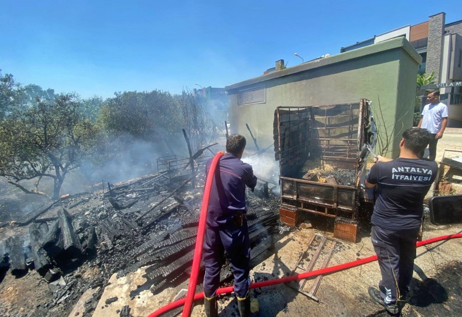 Lüks Villalara Yakın Noktada Çıkan Yangın Korkuttu