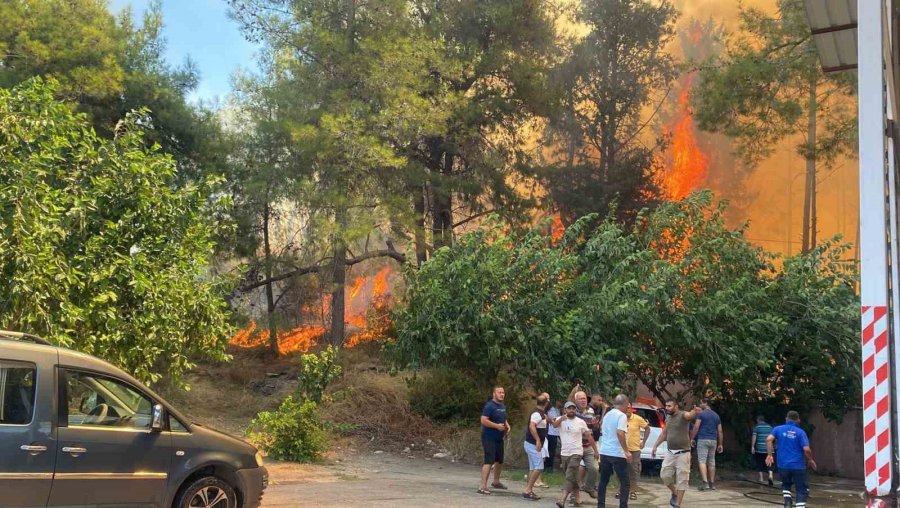Antalya’da Ormanlık Alanda Yangın Paniği