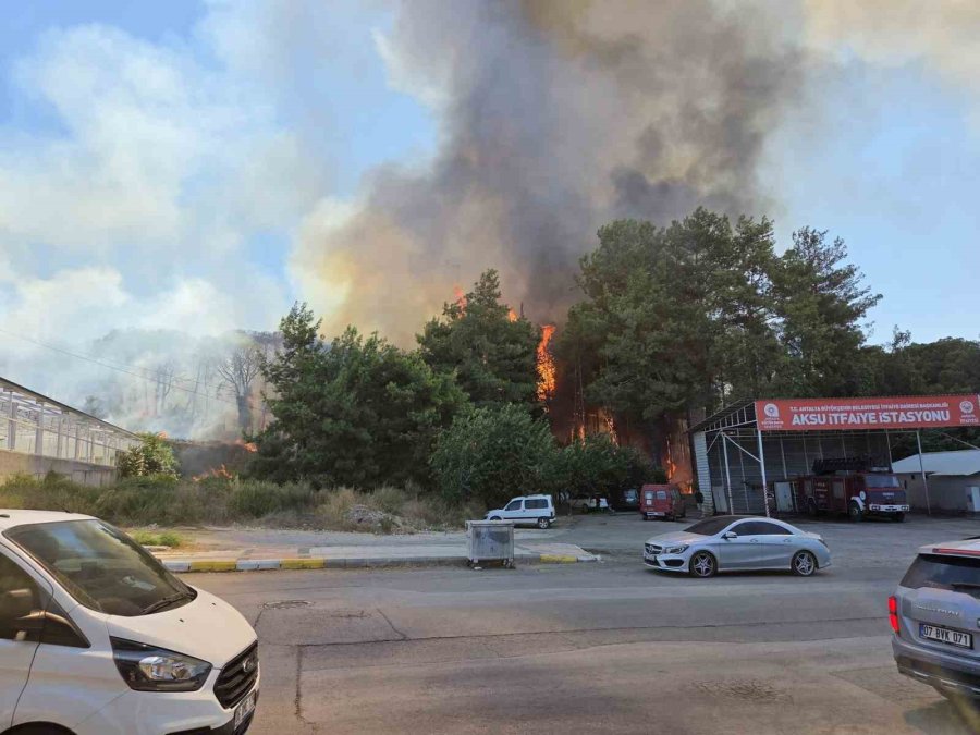 Antalya’da Ormanlık Alanda Yangın Paniği