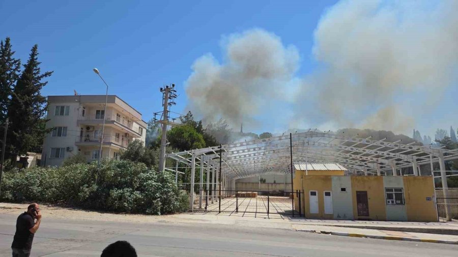 Antalya’da Ormanlık Alanda Yangın Paniği