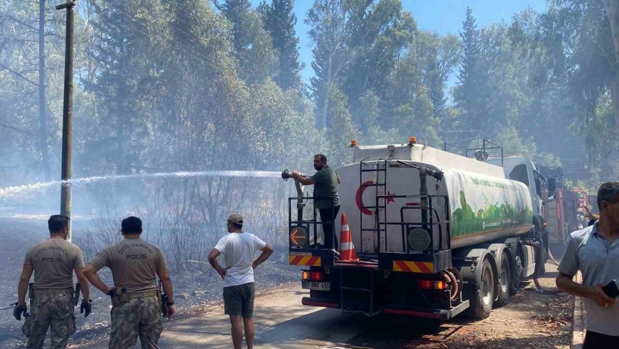 Antalya’da Ormanlık Alanda Yangın Paniği