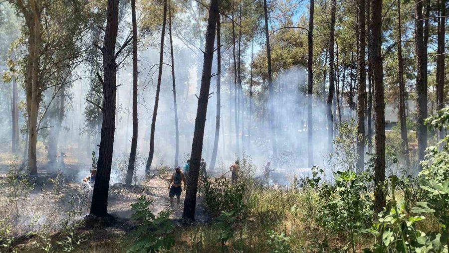 Antalya’da Ormanlık Alanda Yangın Paniği